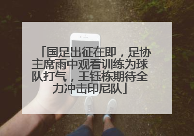 国足出征在即，足协主席雨中观看训练为球队打气，王钰栋期待全力冲击印尼队