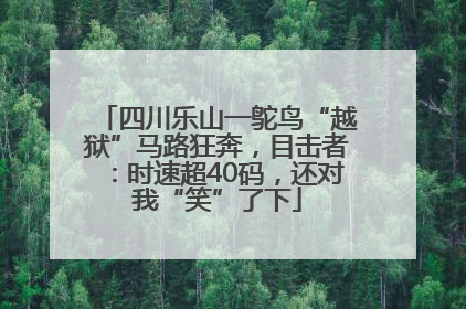 四川乐山一鸵鸟“越狱”马路狂奔，目击者：时速超40码，还对我“笑”了下