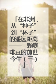 在非洲，从“种子”到“杯子”的遥远距离——一颗咖啡豆的前世今生（三）