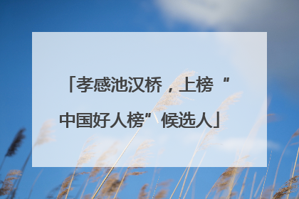 孝感池汉桥，上榜“中国好人榜”候选人