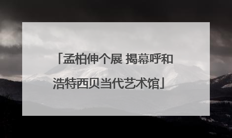 孟柏伸个展 揭幕呼和浩特西贝当代艺术馆