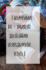 宿州埇桥区：风吹麦浪金满地 农机轰鸣保归仓