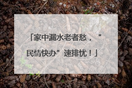 家中漏水老者愁，“民情快办”速排忧！