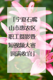 宁夏石嘴山市惠农区职工摄影暨短视频大赛圆满收官