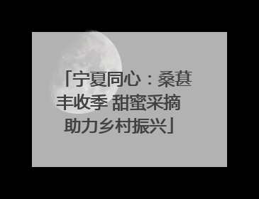 宁夏同心：桑葚丰收季 甜蜜采摘助力乡村振兴