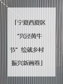 宁夏西夏区 “兴泾黄牛节”绘就乡村振兴新画卷