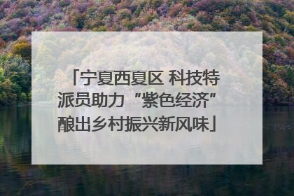 宁夏西夏区 科技特派员助力“紫色经济”酿出乡村振兴新风味