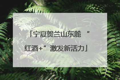 宁夏贺兰山东麓 “红酒+”激发新活力