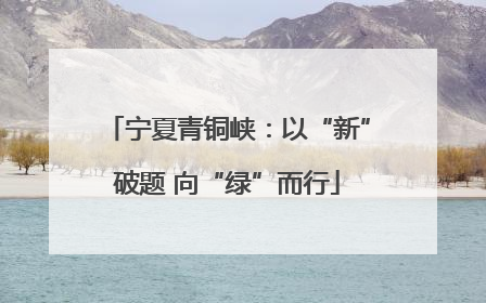 宁夏青铜峡：以“新”破题 向“绿”而行