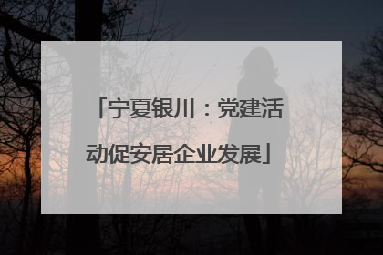 宁夏银川：党建活动促安居企业发展