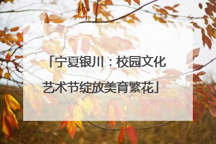 宁夏银川：校园文化艺术节绽放美育繁花