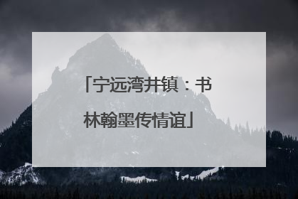 宁远湾井镇：书林翰墨传情谊