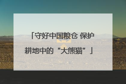 守好中国粮仓 保护耕地中的“大熊猫”