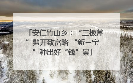 安仁竹山乡：“三板斧”劈开致富路 “新三宝”种出好“钱”景