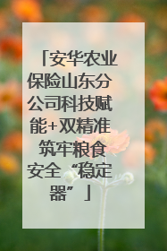 安华农业保险山东分公司科技赋能+双精准 筑牢粮食安全“稳定器”