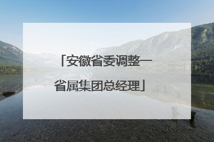 安徽省委调整一省属集团总经理
