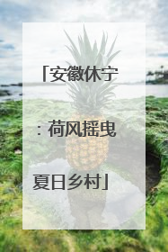 安徽休宁：荷风摇曳夏日乡村