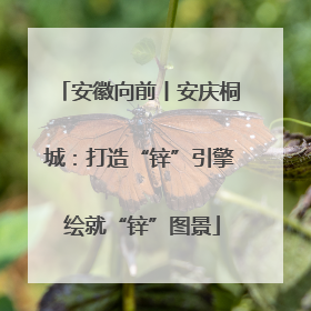 安徽向前丨安庆桐城：打造“锌”引擎 绘就“锌”图景
