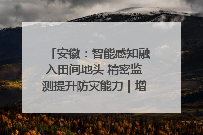 安徽：智能感知融入田间地头 精密监测提升防灾能力｜增发国债气象项目落地见效系列报道