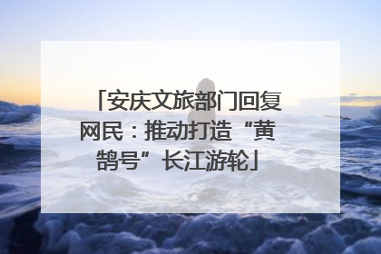 安庆文旅部门回复网民：推动打造“黄鹄号”长江游轮