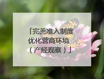 完善准入制度 优化营商环境（产经观察）