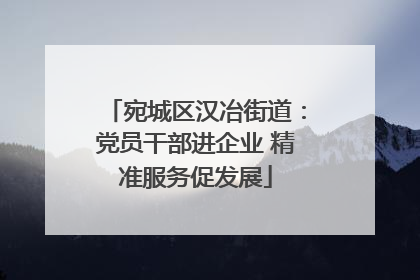宛城区汉冶街道：党员干部进企业 精准服务促发展