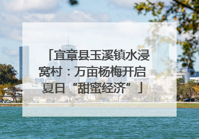 宜章县玉溪镇水浸窝村：万亩杨梅开启夏日“甜蜜经济”
