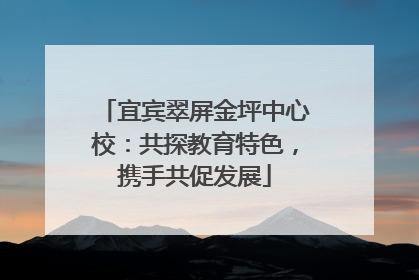 宜宾翠屏金坪中心校：共探教育特色，携手共促发展