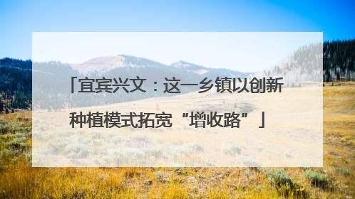 宜宾兴文：这一乡镇以创新种植模式拓宽“增收路”