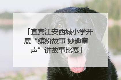 宜宾江安西城小学开展“缤纷故事 妙趣童声”讲故事比赛