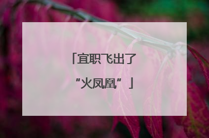 宜职飞出了“火凤凰”