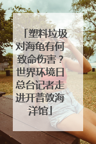塑料垃圾对海龟有何致命伤害？世界环境日总台记者走进开普敦海洋馆
