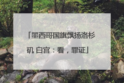 墨西哥国旗飘扬洛杉矶 白宫：看，罪证
