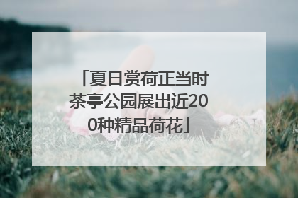 夏日赏荷正当时 茶亭公园展出近200种精品荷花