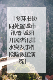 多环节协同处置城市汛情 城阳开展防汛排水突发事件抢险救援演练
