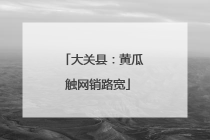 大关县：黄瓜触网销路宽