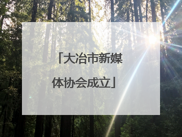 大冶市新媒体协会成立