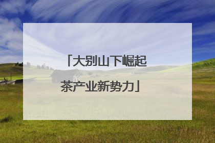 大别山下崛起茶产业新势力