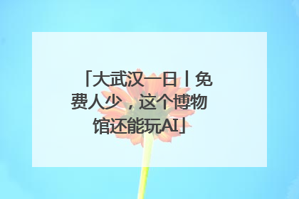 大武汉一日丨免费人少，这个博物馆还能玩AI