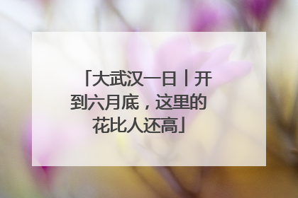 大武汉一日︱开到六月底，这里的花比人还高