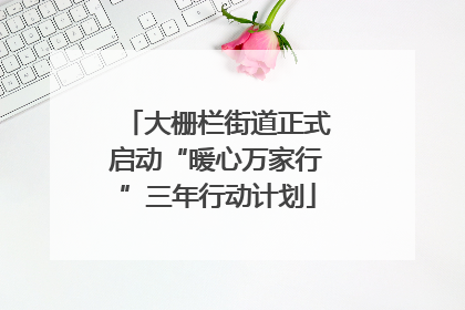 大栅栏街道正式启动“暖心万家行”三年行动计划