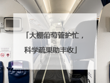 大棚葡萄管护忙，科学疏果助丰收