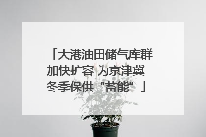 大港油田储气库群加快扩容 为京津冀冬季保供“蓄能”