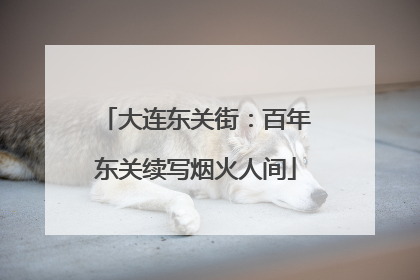 大连东关街：百年东关续写烟火人间