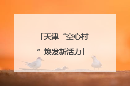 天津“空心村”焕发新活力