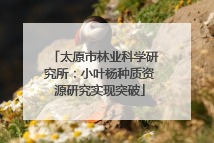 太原市林业科学研究所：小叶杨种质资源研究实现突破