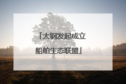 太钢发起成立船舶生态联盟