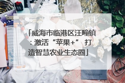 威海市临港区汪疃镇：激活“苹果+” 打造智慧农业生态圈