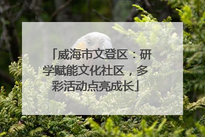 威海市文登区：研学赋能文化社区，多彩活动点亮成长