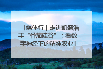 媒体行｜走进凯盛浩丰“番茄硅谷”：看数字神经下的精准农业